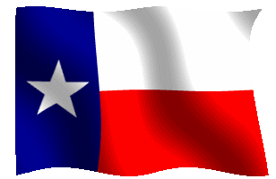 texas flag